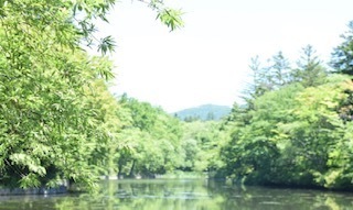 IMG_0074.jpg