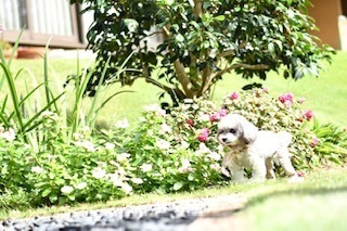 IMG_4900.jpg
